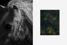 Load image into Gallery viewer, Cereal Magazine - Vol. 14