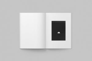 PALM - A Visual Study of Palm Springs